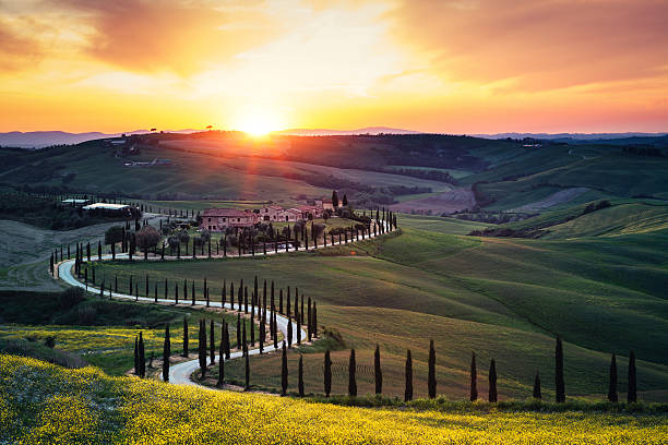 Tuscan Countryside